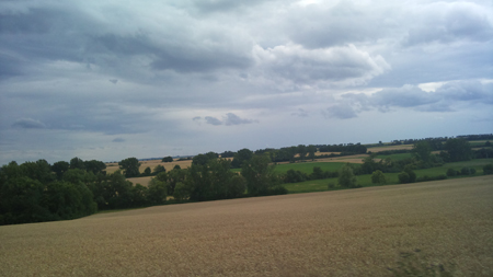 Fields