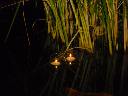 Candles