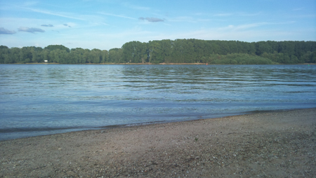 Rheinlandschaft