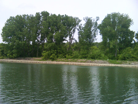Friesenheimer Insel